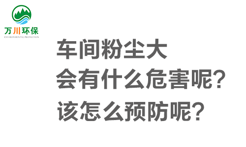 車間粉塵大會(huì)有什么危害呢？該怎么預(yù)防呢？